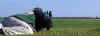 Rattle Battle 15.jpg (265143 bytes)