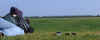 Rattle Battle 16.jpg (238887 bytes)