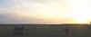 Viale Sunrise.jpg (99462 bytes)